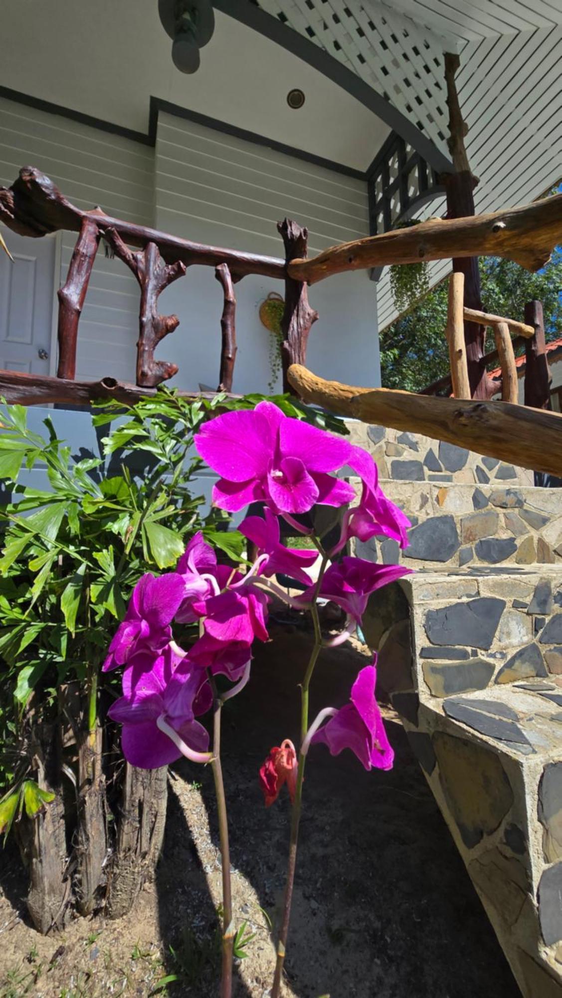 Koh Kood Garden House Hotell Ban Lak Uan Exteriör bild